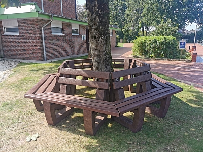 Bank um einen Baum